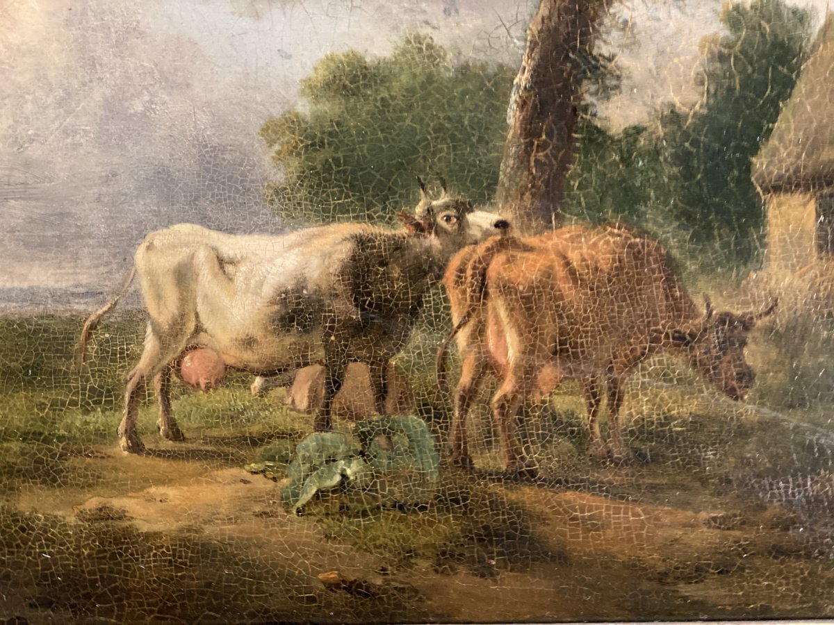 Pair Of Oil On Panel Rural Scenes Balthazar Paul Ommeganck-photo-4