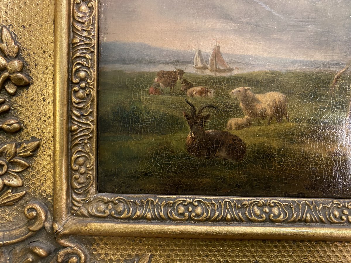 Pair Of Oil On Panel Rural Scenes Balthazar Paul Ommeganck-photo-5