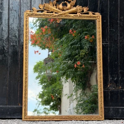 Premiere-Image-1797711