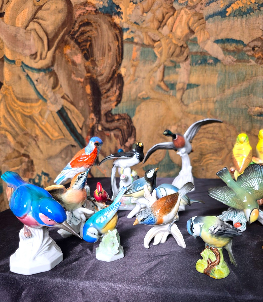German Porcelain Birds -photo-4