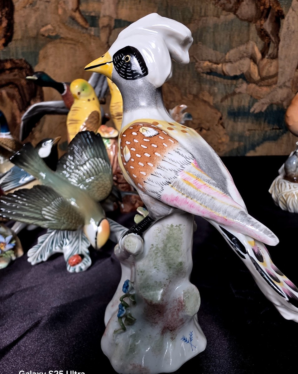 German Porcelain Birds -photo-6