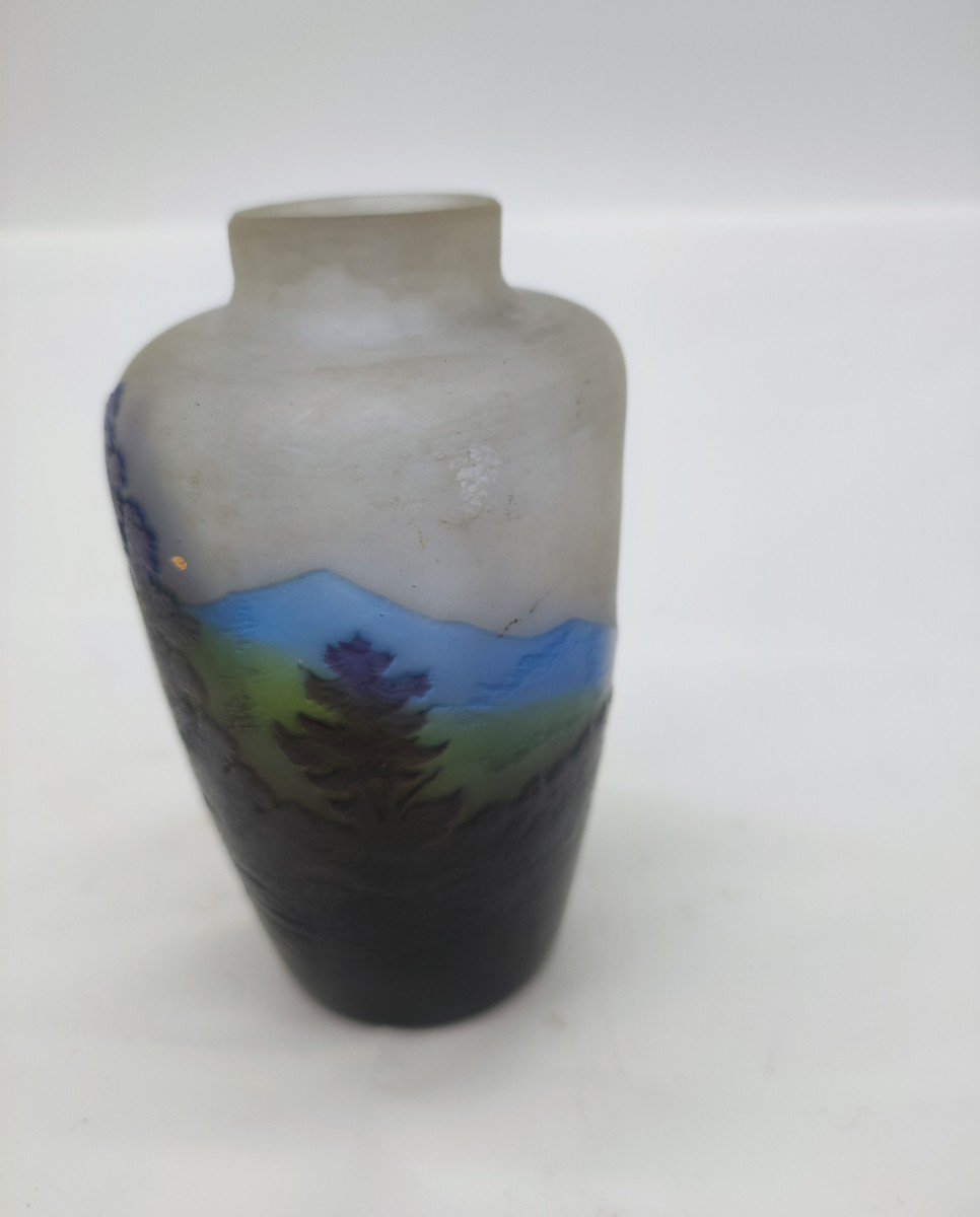 Gallé Vase (1846 - 1904), Circa 1900-photo-4