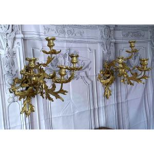 Paire D Appliques En Bronze De Style XIV Époque 19 siecles
