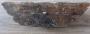 1788398-alb-6a47cb6cdb150.jpg