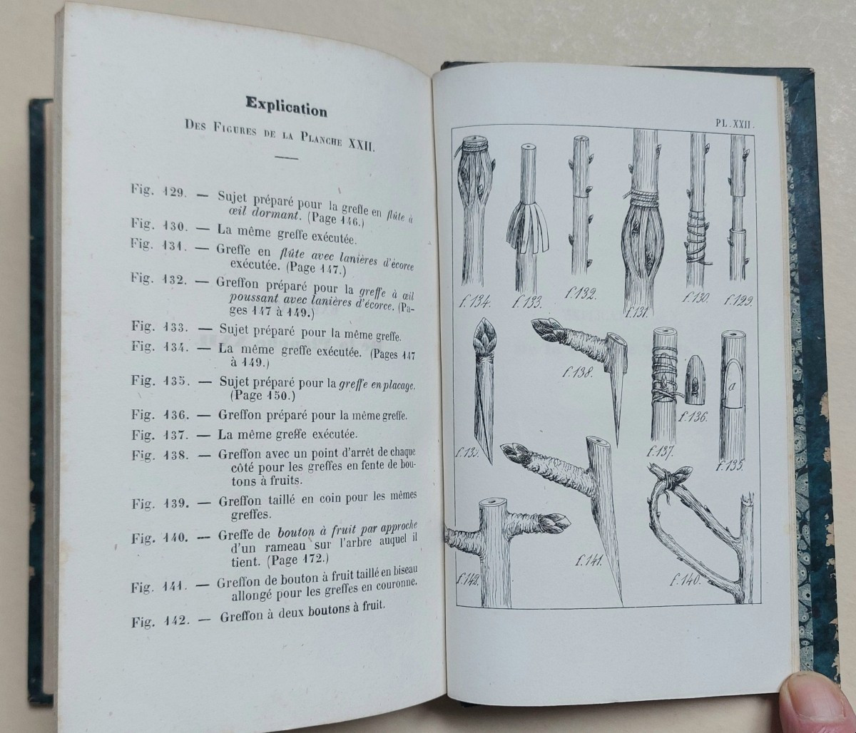 Traité de la greffe par l'abbé D. DUPUY 1859-photo-2