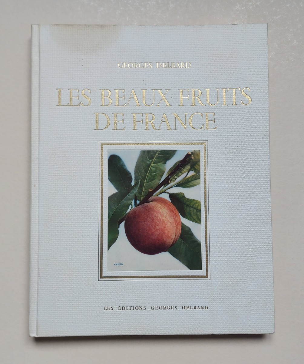Traité de la greffe par l'abbé D. DUPUY 1859-photo-4