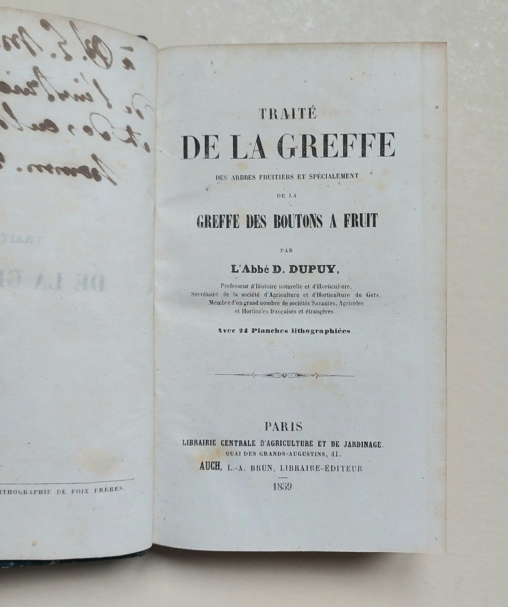 Traité de la greffe par l'abbé D. DUPUY 1859