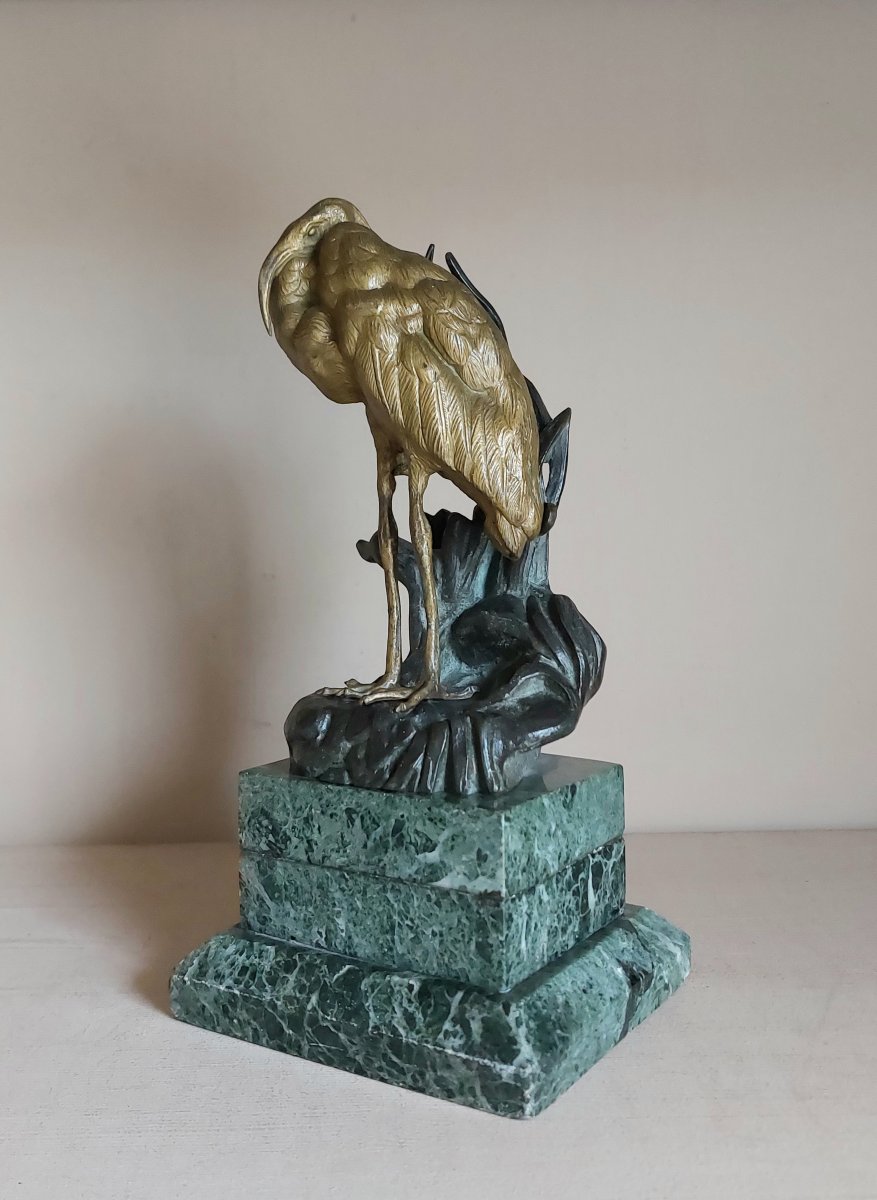 Bronze Ibis-photo-2