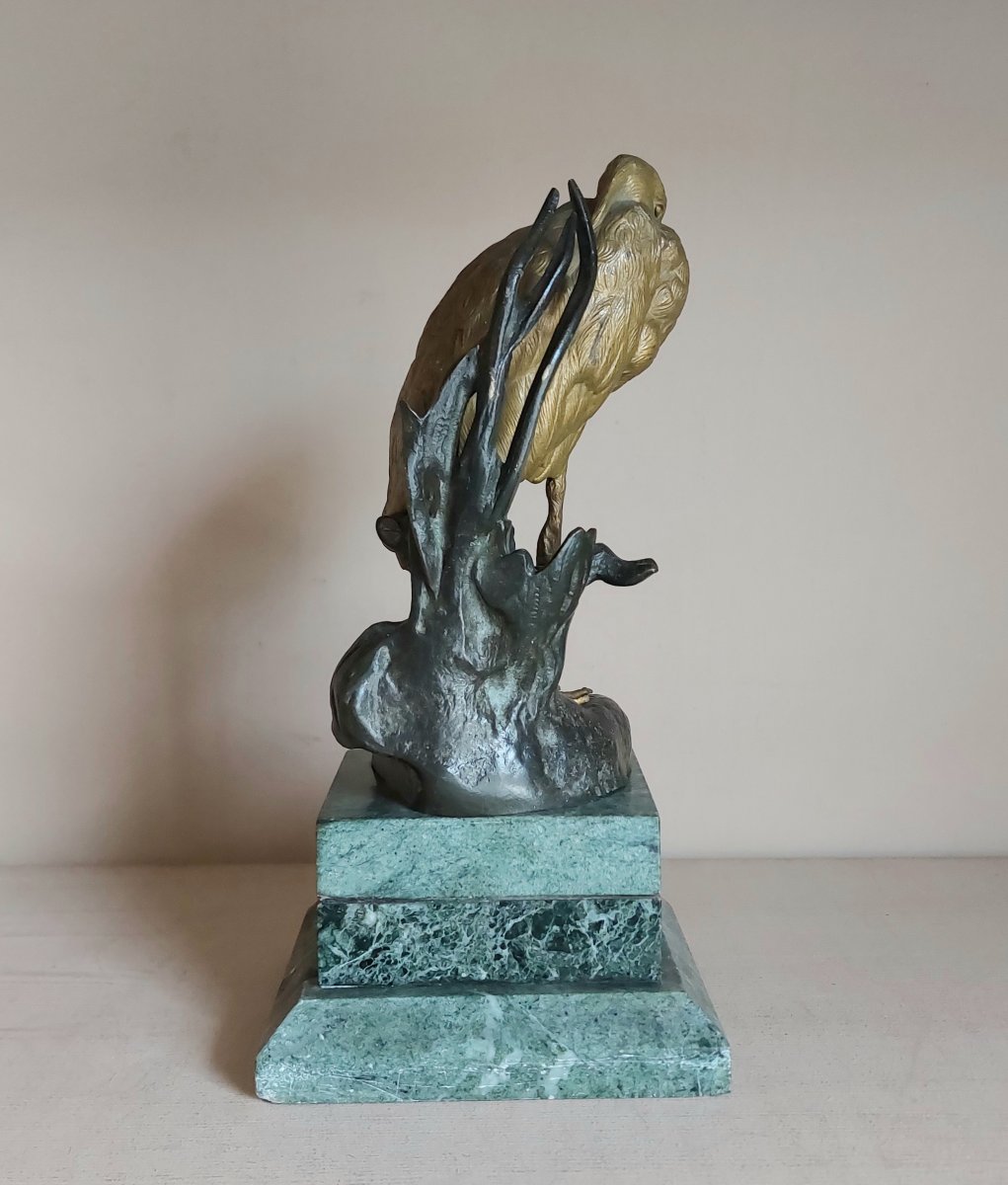 Bronze Ibis-photo-1
