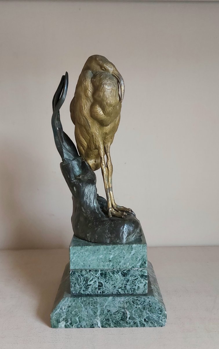 Bronze Ibis-photo-2
