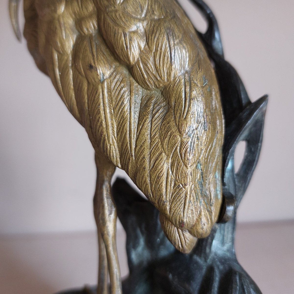 Bronze Ibis-photo-3