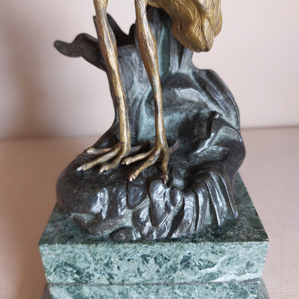 Bronze Ibis-photo-4
