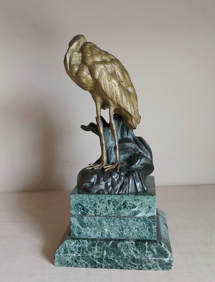 Bronze Ibis