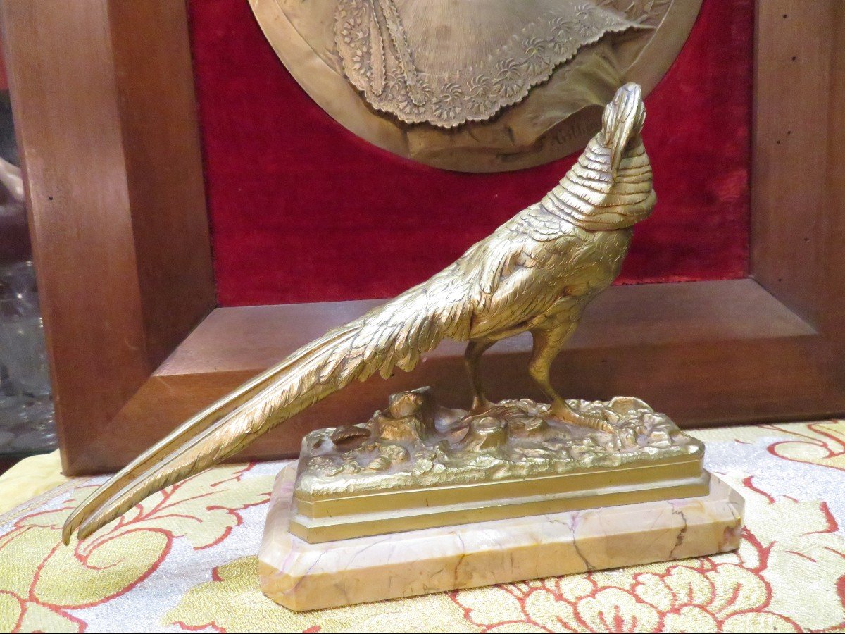 Old Animal Bronze Golden Rooster Pheasant / Sienna Marble By Trodoux Nineteenth-photo-2