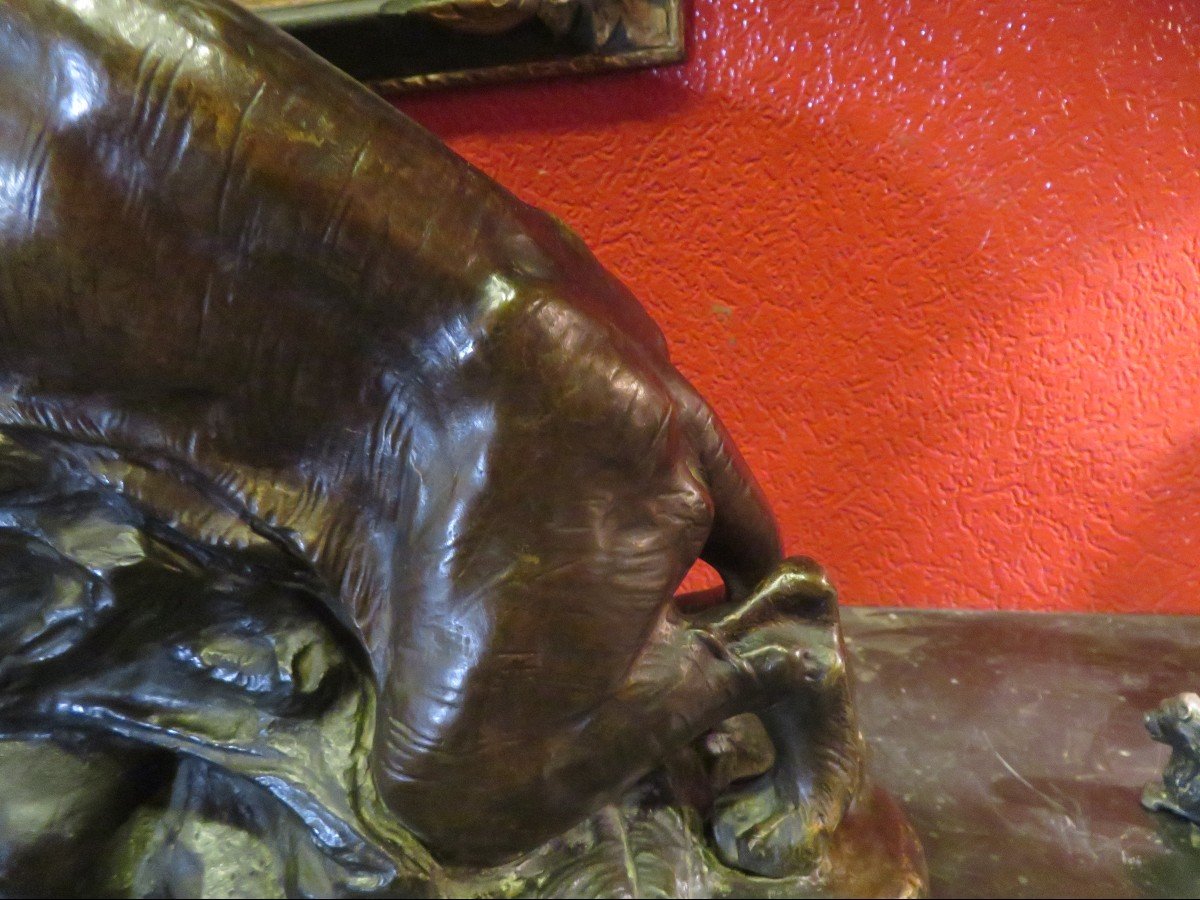 Ancien Grand Bronze Animalier Panthères  Ou Lionnes Rugissantes Par E Drouot  XIXe-photo-7