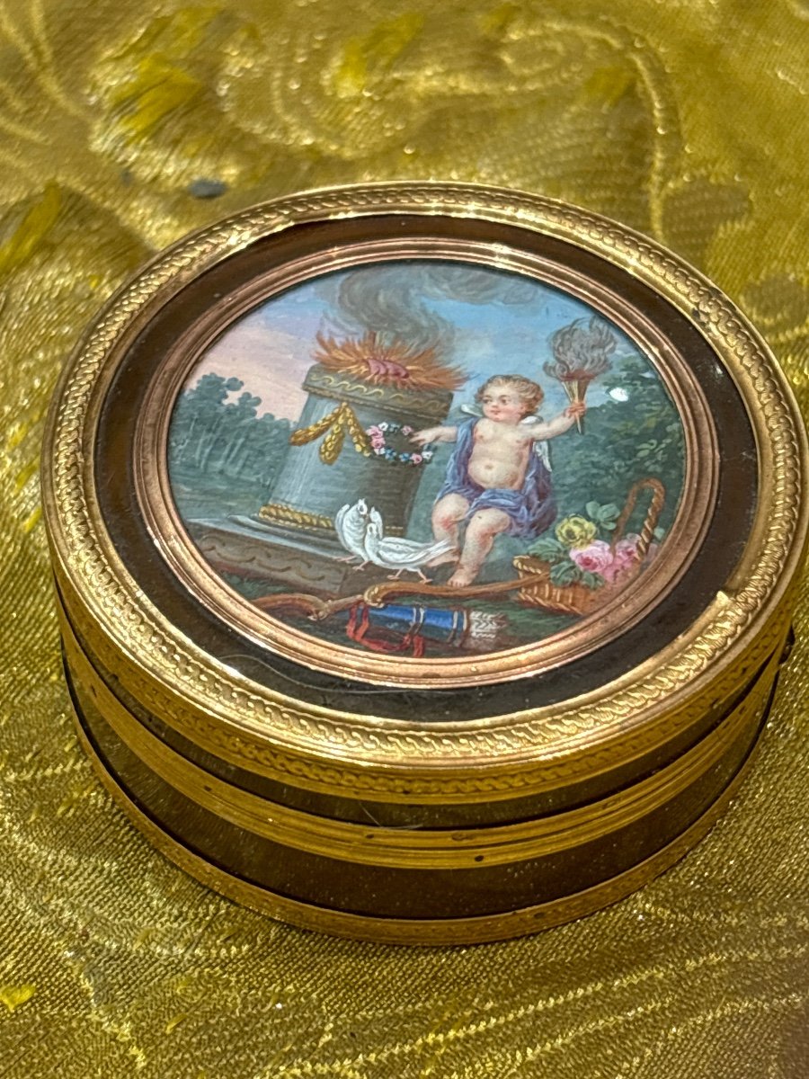 Rare Gold And Blonde Tortoiseshell Box, Late 18th Century Miniature Of Cupid In A Park, Doves-photo-3