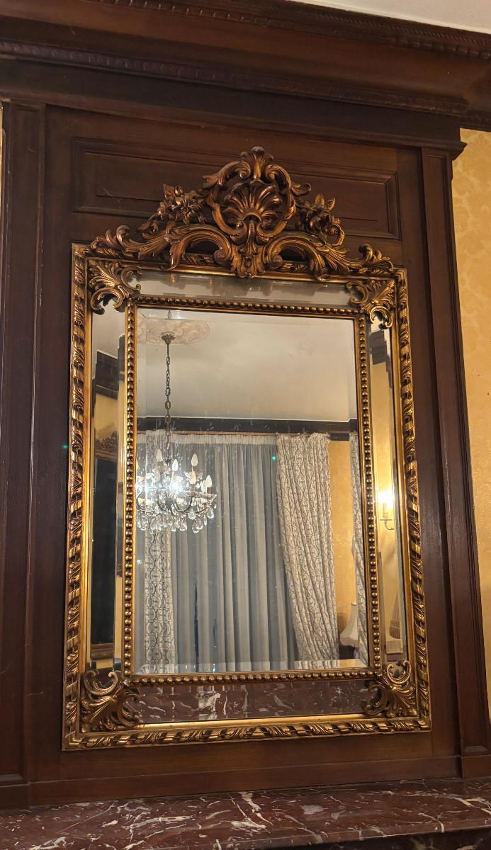Antique Napoleon III Glazed Fireplace Mirror With Closed Edges And Plant And Shell Decoration From The 19th Century 
