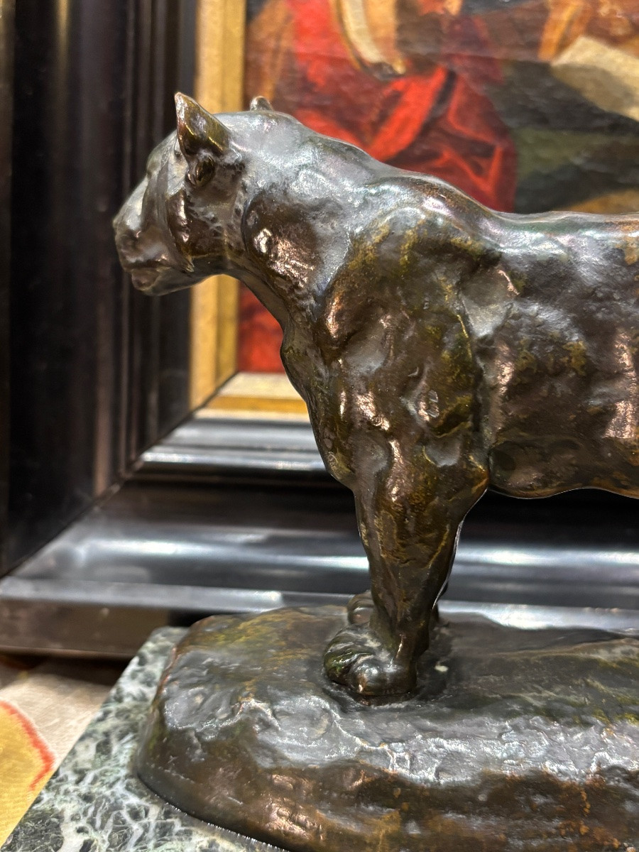 La lionne du Sénégal Antoine barye bronze patine médaille signé sur la terrasse -photo-4