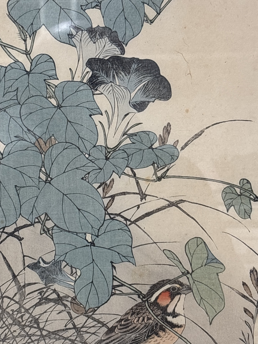 Imao keinen estampe japonaise 1892 série oiseaux plante serin aux aguets -photo-1