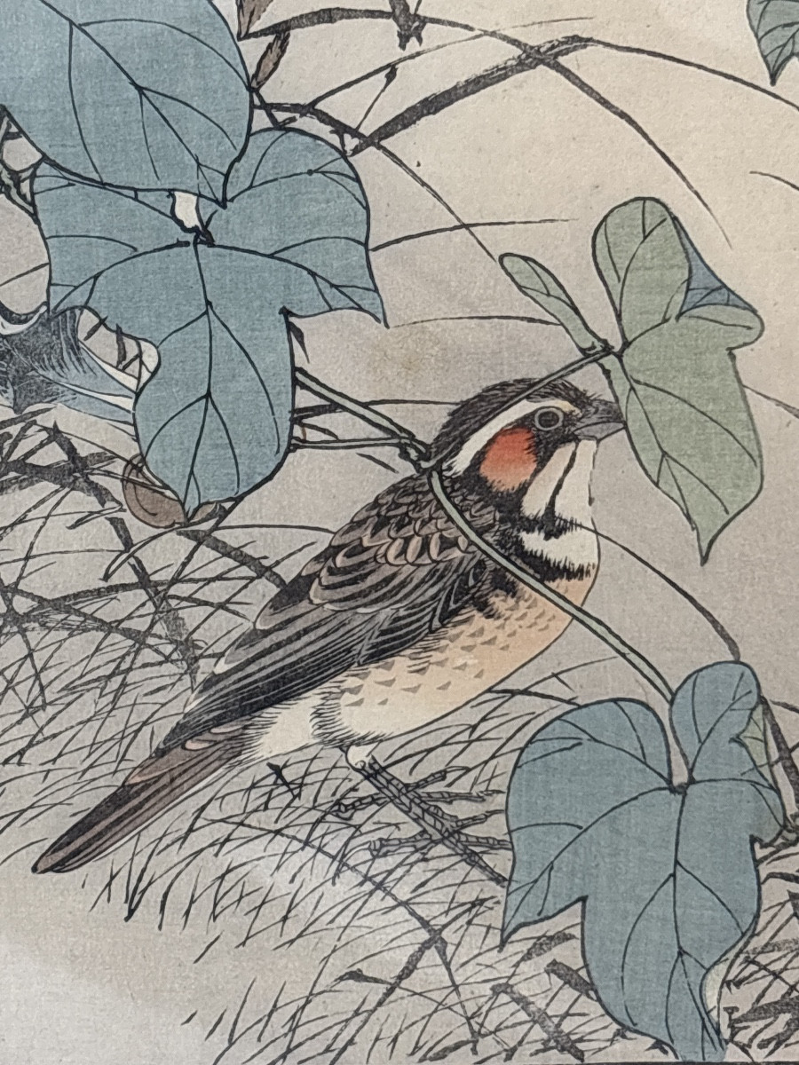 Imao keinen estampe japonaise 1892 série oiseaux plante serin aux aguets -photo-2