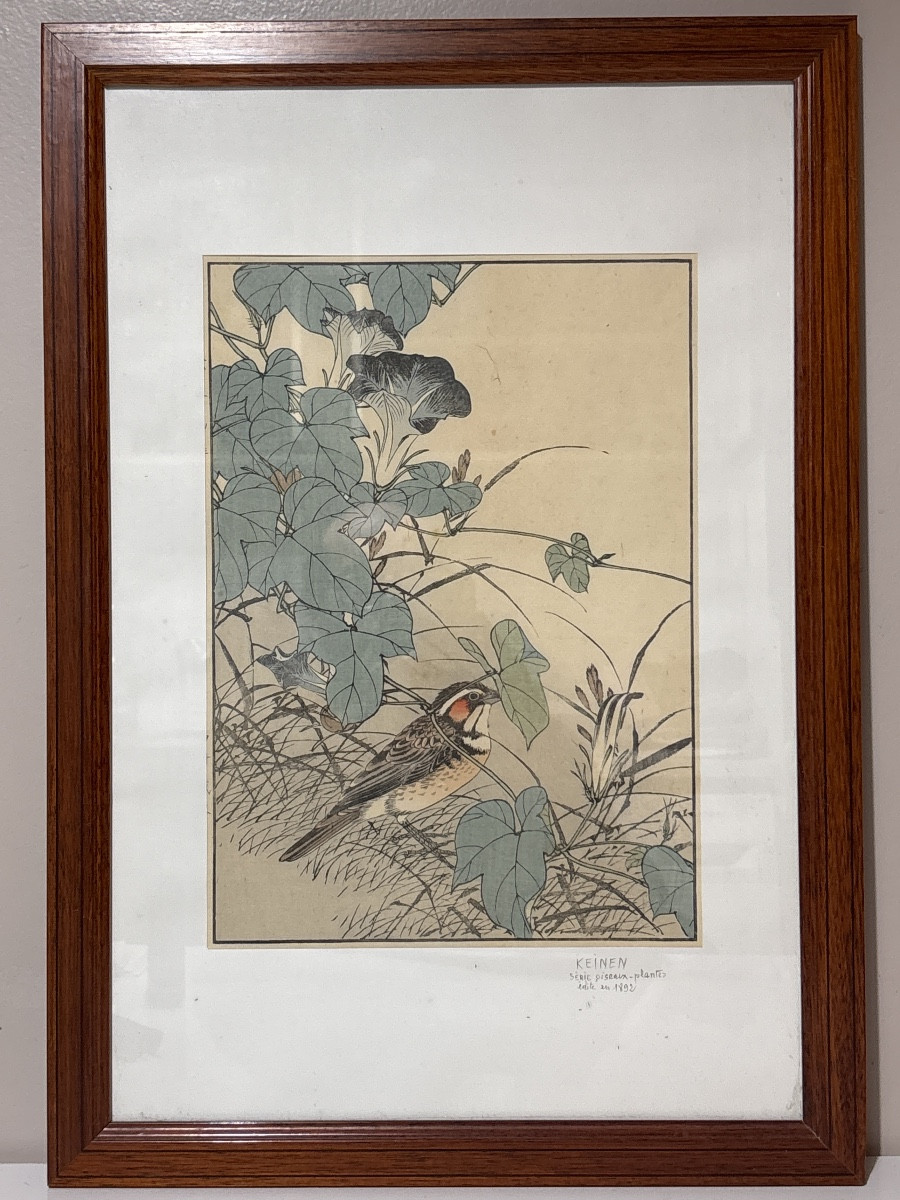 Imao keinen estampe japonaise 1892 série oiseaux plante serin aux aguets 