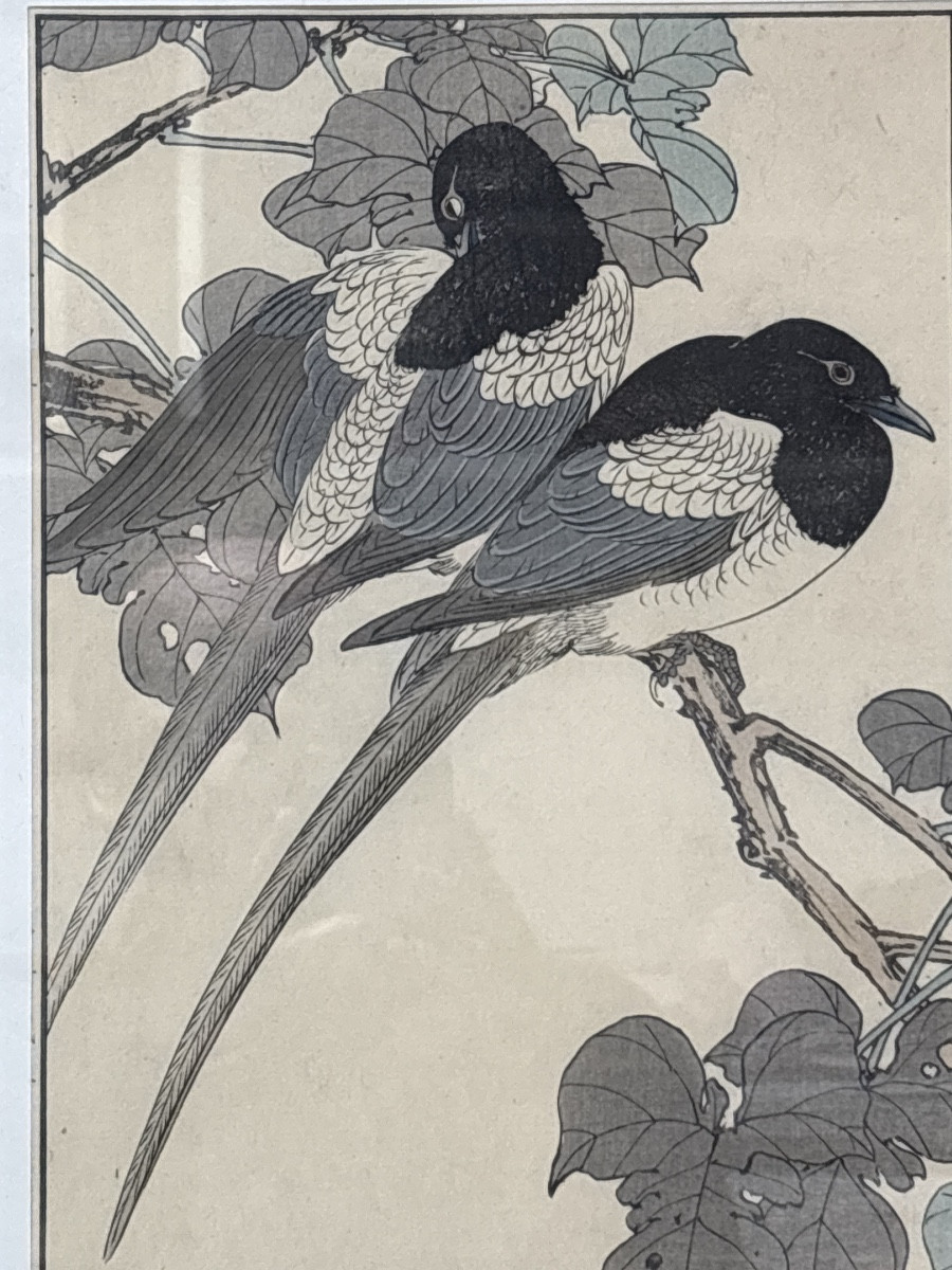 Imaro Keinen estampe japonaise 1892 série oiseaux plantes les pies -photo-2