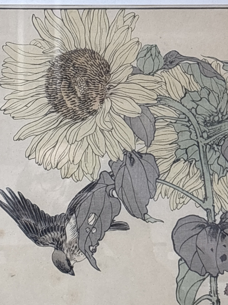 Imaro Keinen estampe japonaise 1892 série oiseaux et plantes serin et tournesol -photo-3