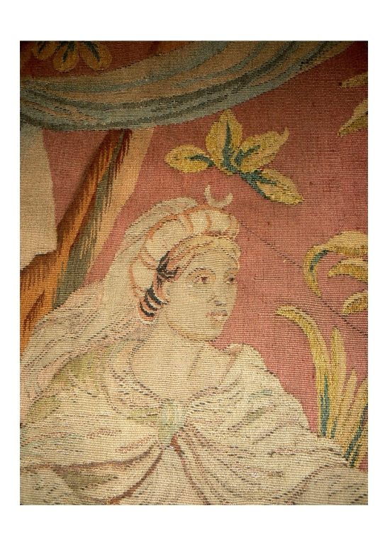 Old Aubusson Tapestry Era 19 Eme Mythological Roman Soldier-photo-4
