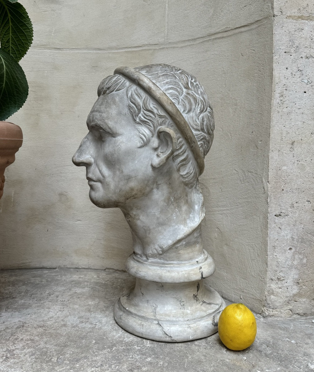 Bust Of Antiochus The Great, Moulage Du Louve, Early 20th Century -photo-2