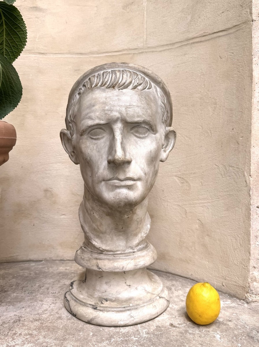 Bust Of Antiochus The Great, Moulage Du Louve, Early 20th Century -photo-3