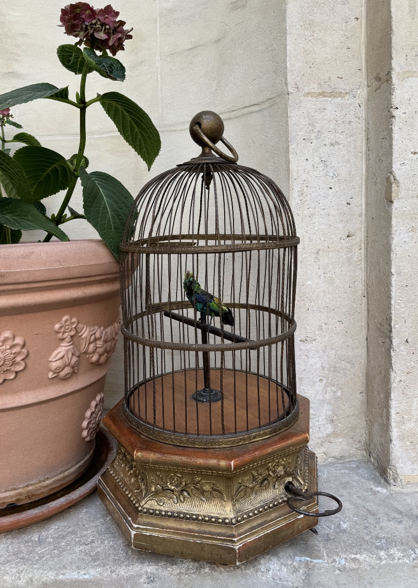 Oiseau Siffleur Automate, Bontemps 19ème Siècle -photo-4