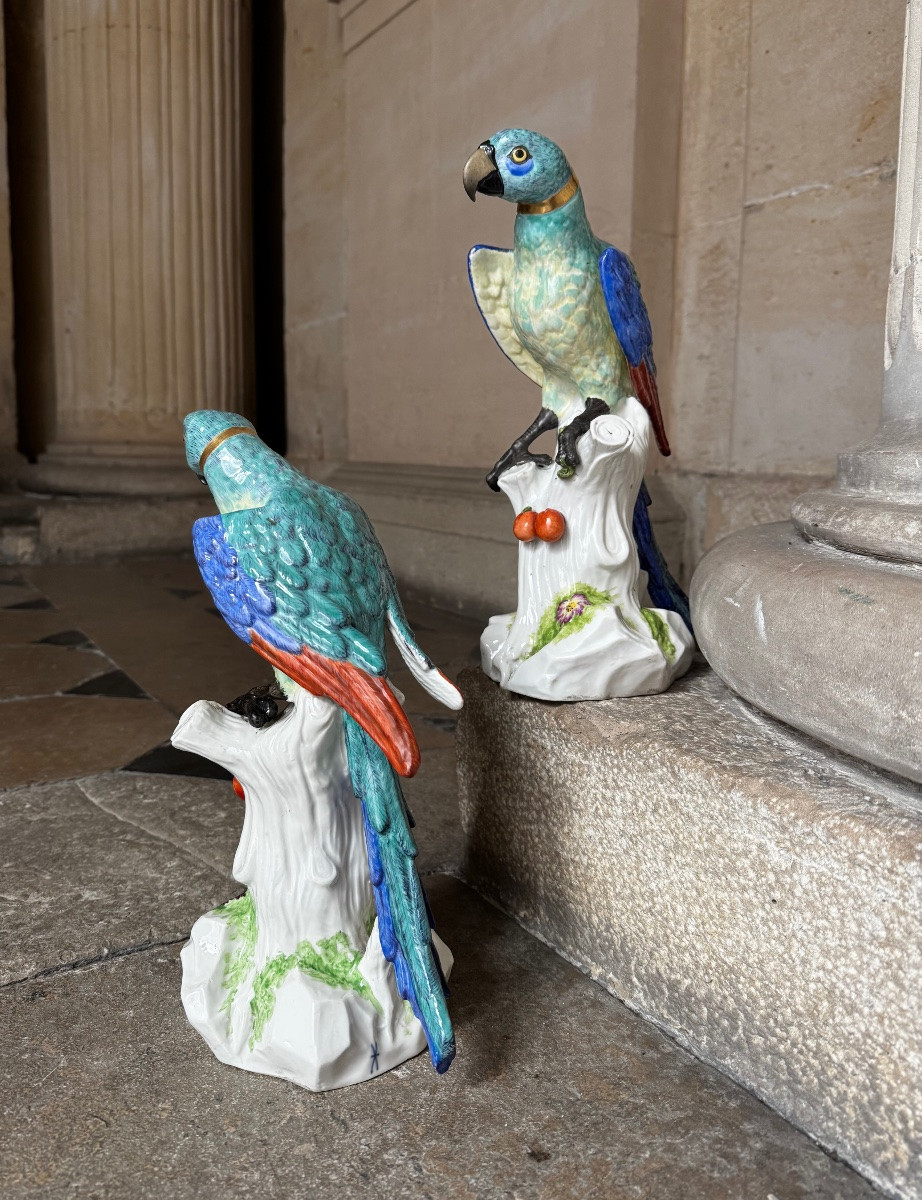 Paire De Perroquets En Porcelaine De Saxe Fin 19ème Siècle-photo-2