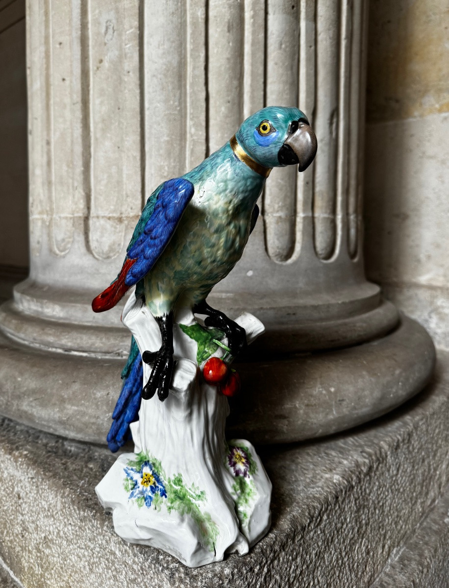 Paire De Perroquets En Porcelaine De Saxe Fin 19ème Siècle-photo-3