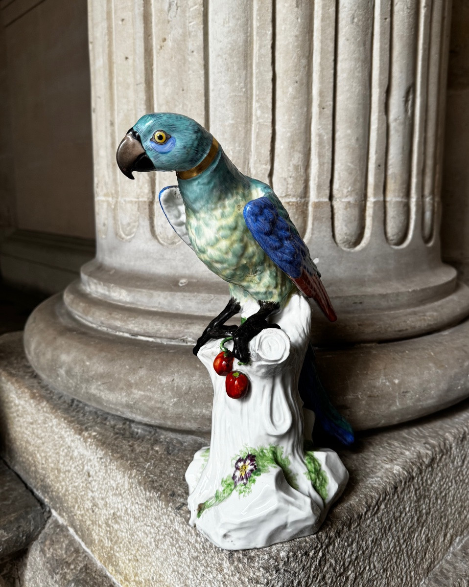 Paire De Perroquets En Porcelaine De Saxe Fin 19ème Siècle-photo-4