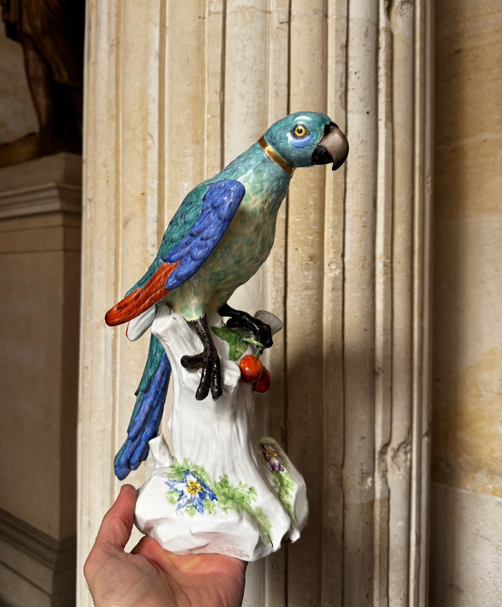 Paire De Perroquets En Porcelaine De Saxe Fin 19ème Siècle-photo-1