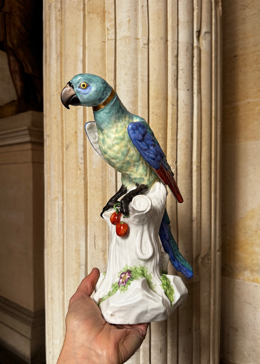 Paire De Perroquets En Porcelaine De Saxe Fin 19ème Siècle-photo-2