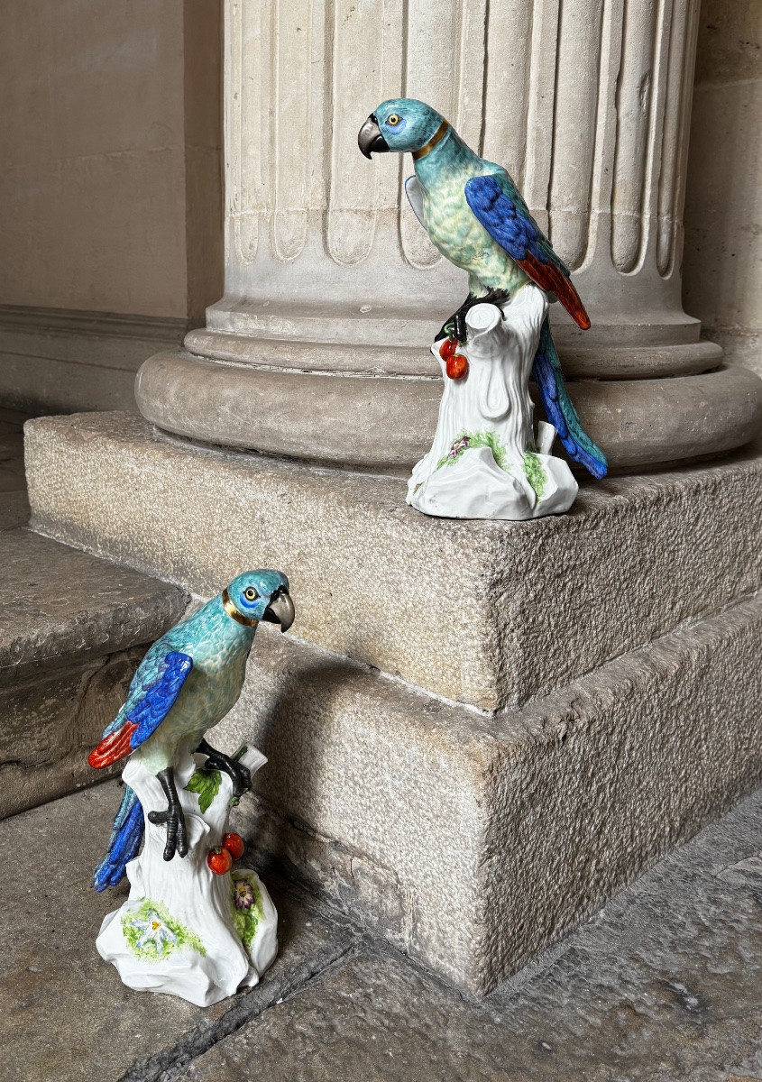 Paire De Perroquets En Porcelaine De Saxe Fin 19ème Siècle-photo-7