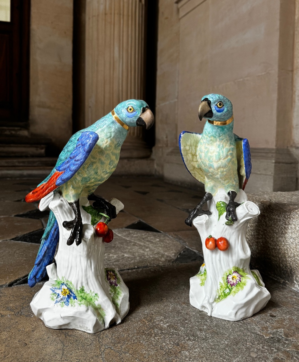 Paire De Perroquets En Porcelaine De Saxe Fin 19ème Siècle