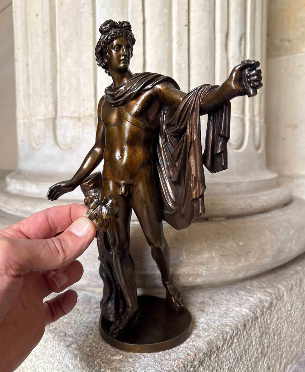 Apollon Du Belvédère, Bronze Du Grand Tour 19th Century-photo-3