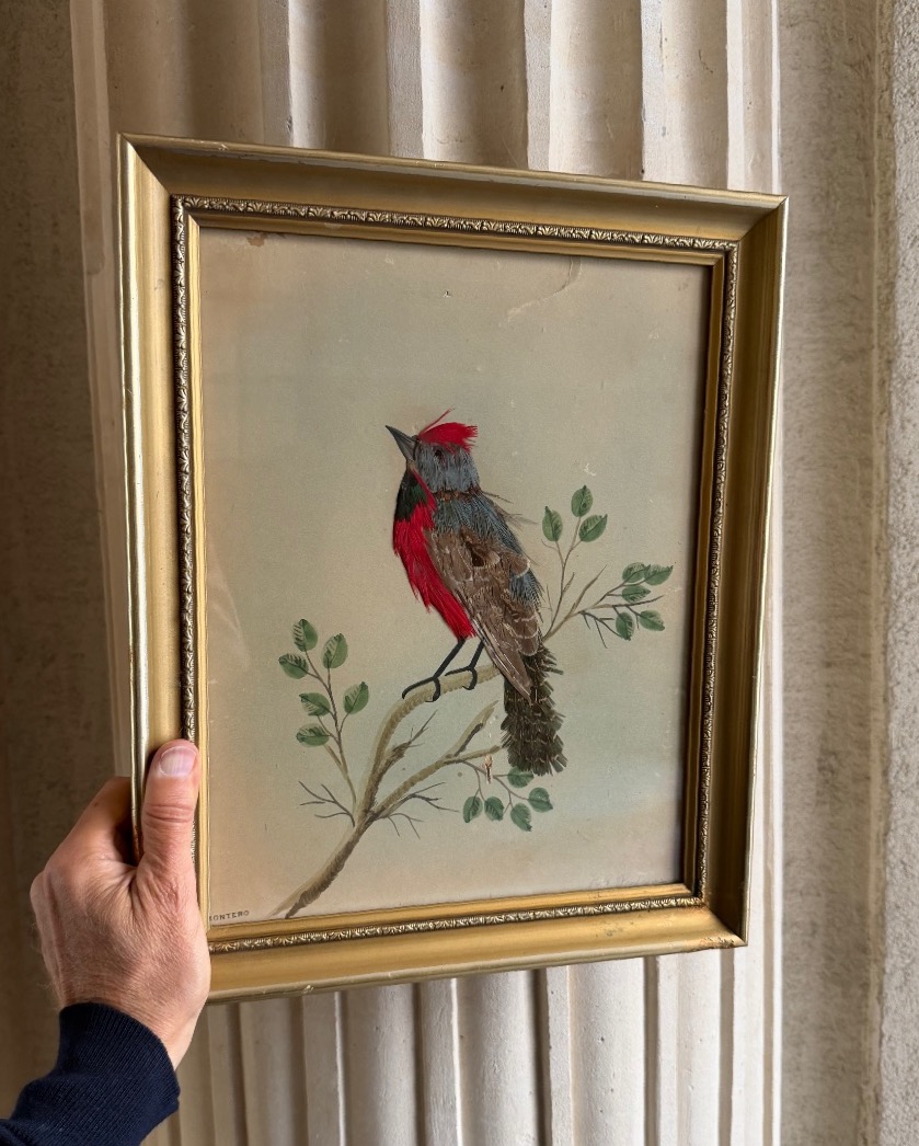 Pair Of Feathered Bird Paintings, Circa 1900-photo-3