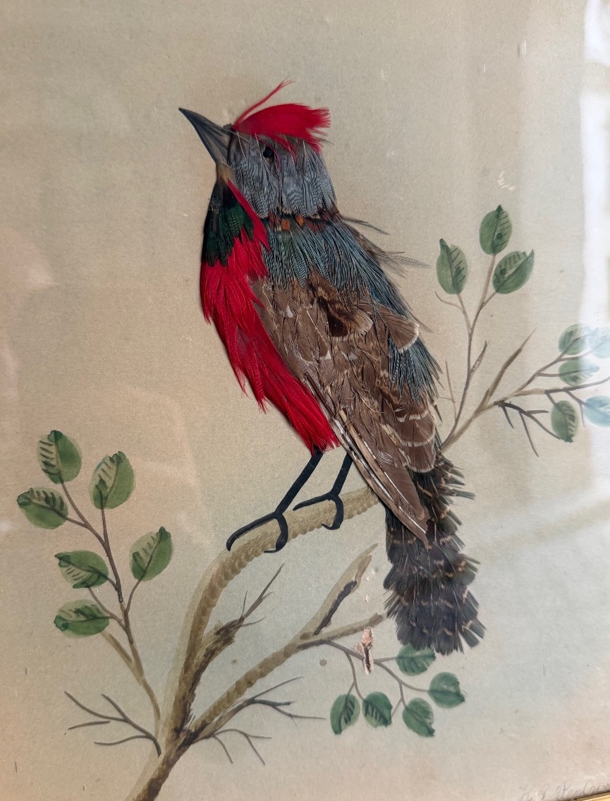 Pair Of Feathered Bird Paintings, Circa 1900-photo-4