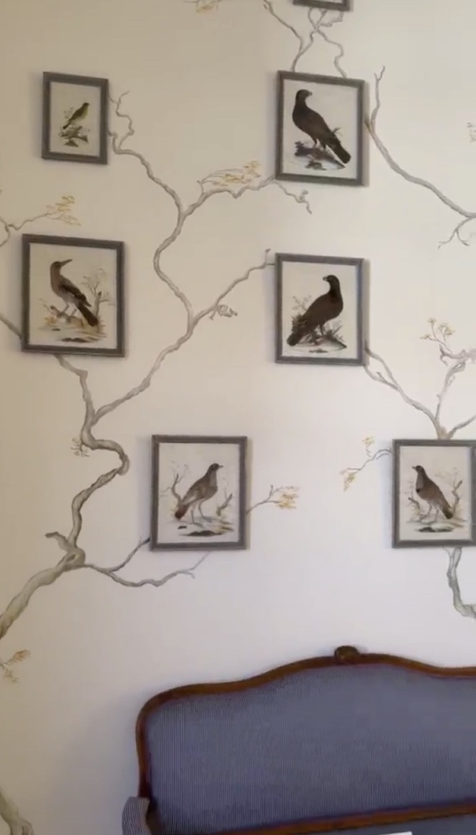 Pair Of Feathered Bird Paintings, Circa 1900-photo-5