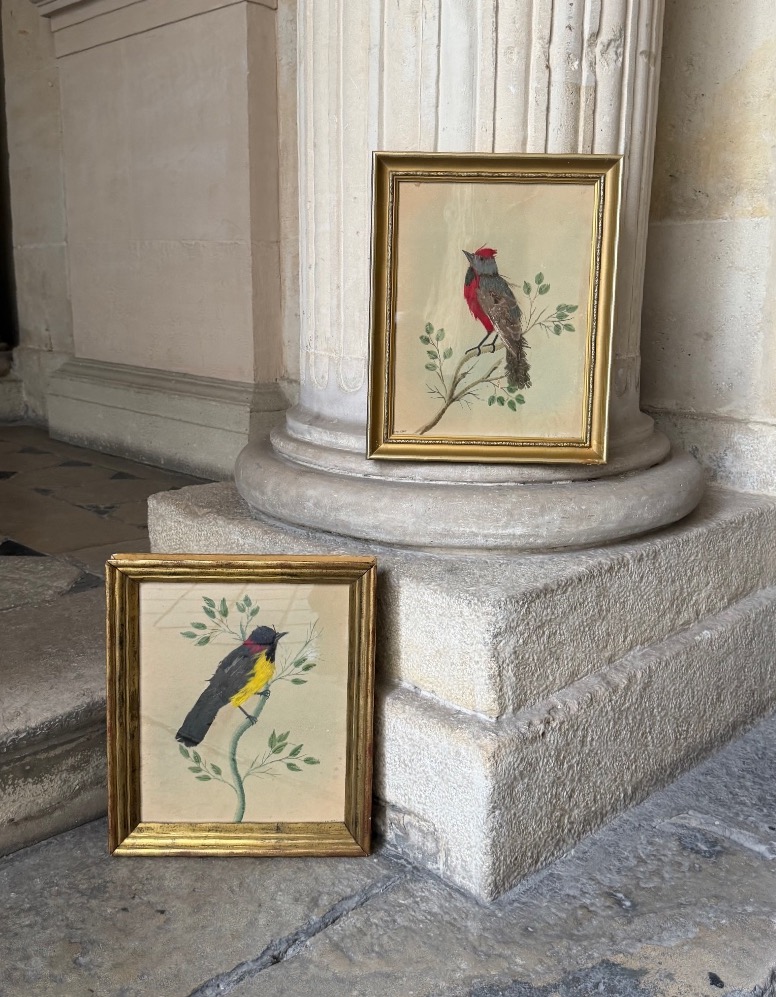 Pair Of Feathered Bird Paintings, Circa 1900