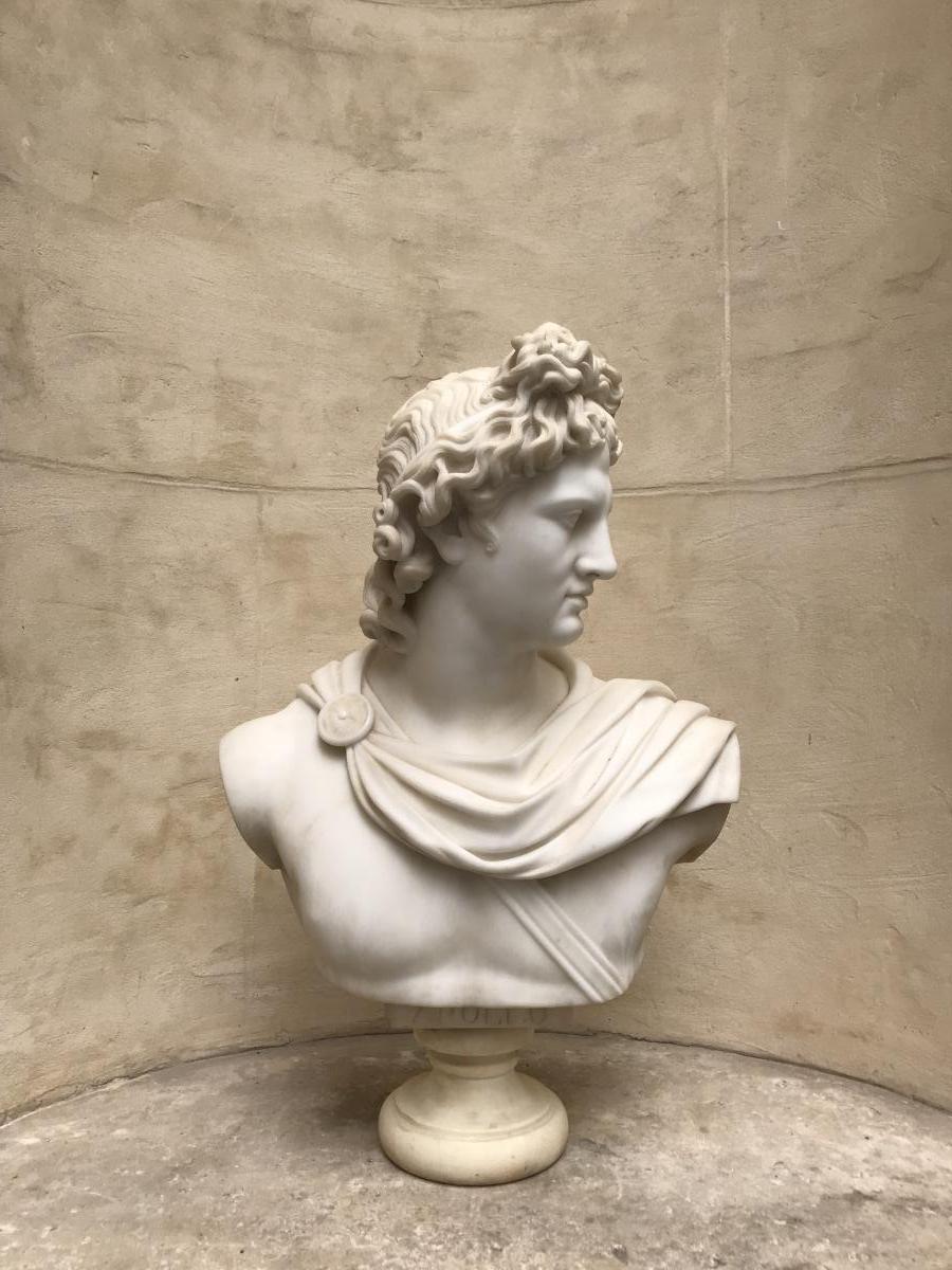 Bust Of The Apollo Belvedere In Marble Around 1830/1850