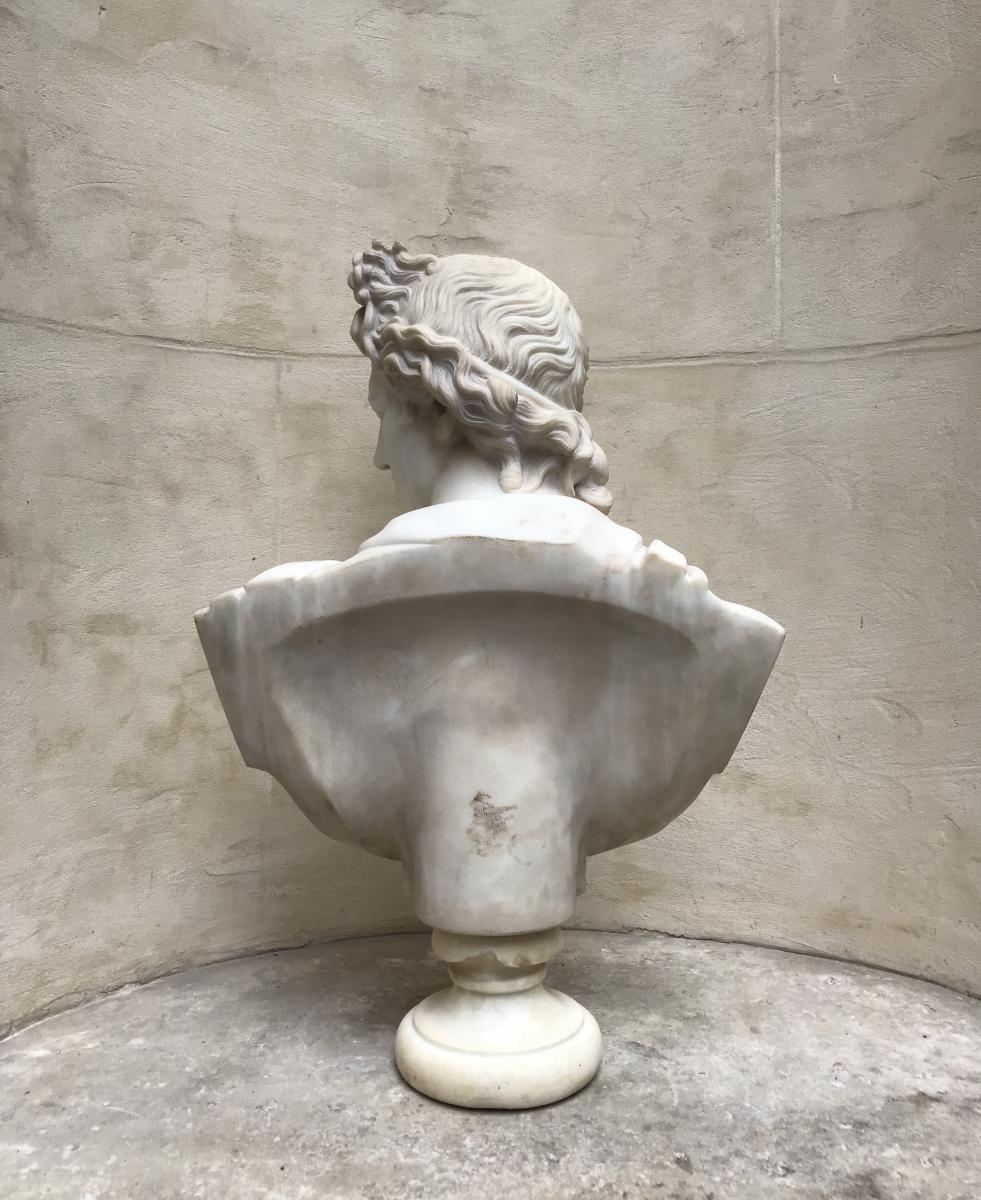 Bust Of The Apollo Belvedere In Marble Around 1830/1850-photo-4