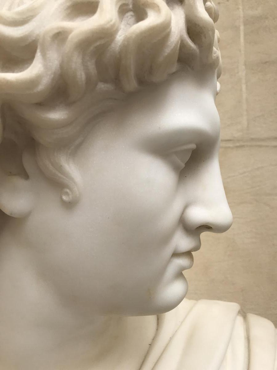 Bust Of The Apollo Belvedere In Marble Around 1830/1850-photo-3