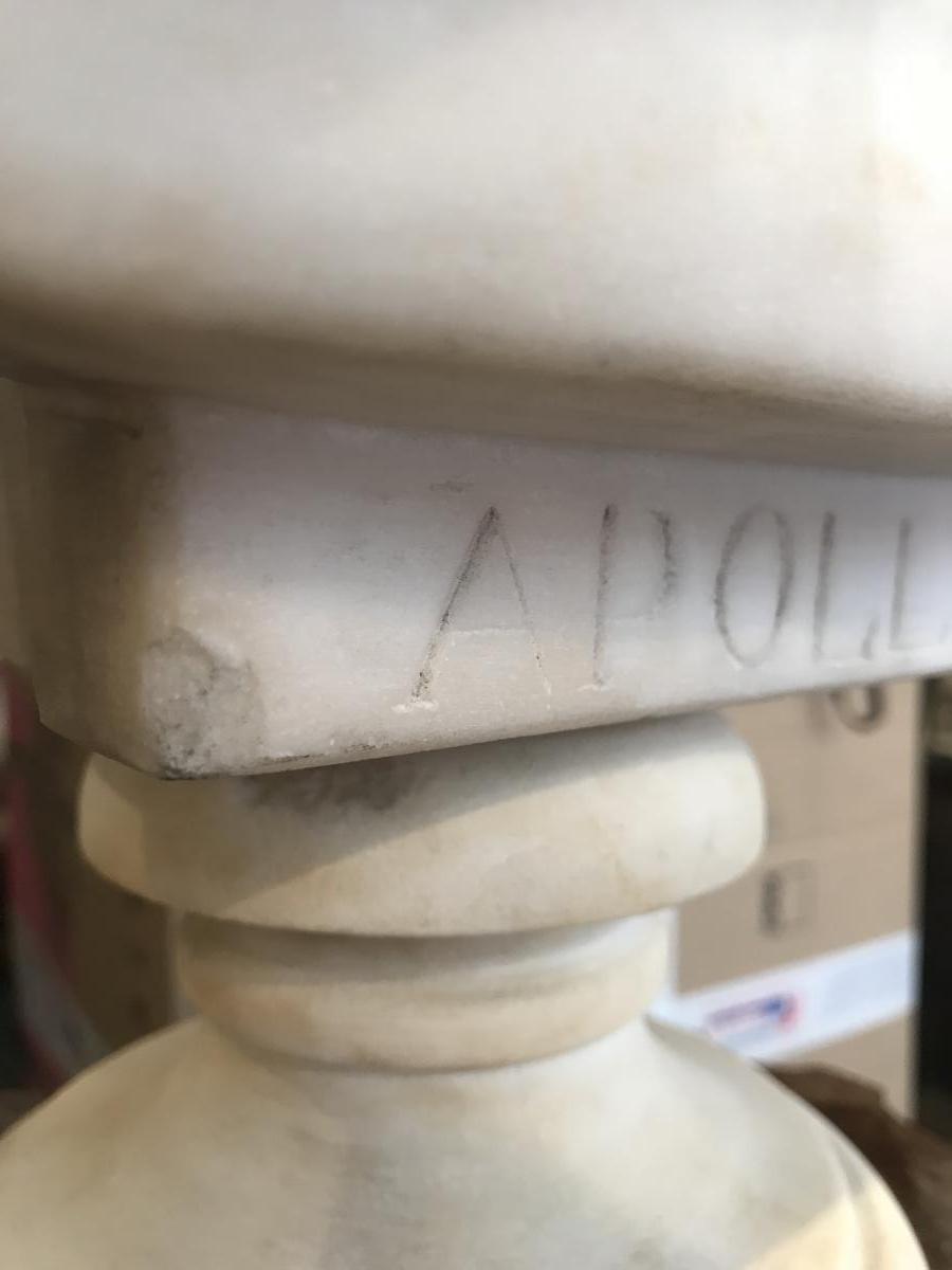 Bust Of The Apollo Belvedere In Marble Around 1830/1850-photo-5