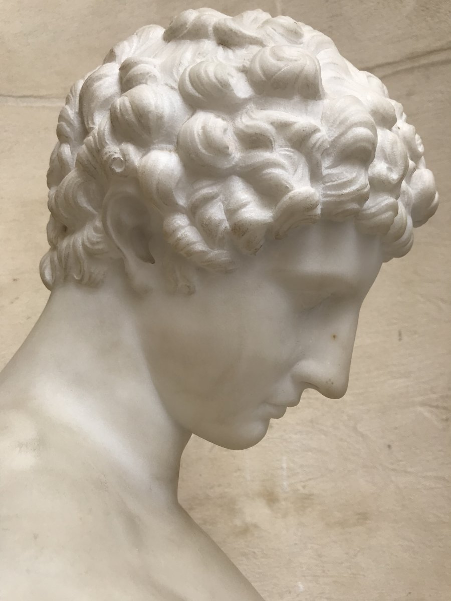Bust Of Antinous Marble-photo-3