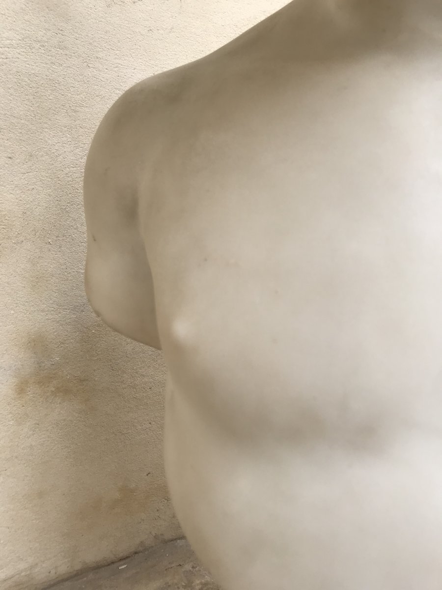 Bust Of Antinous Marble-photo-2