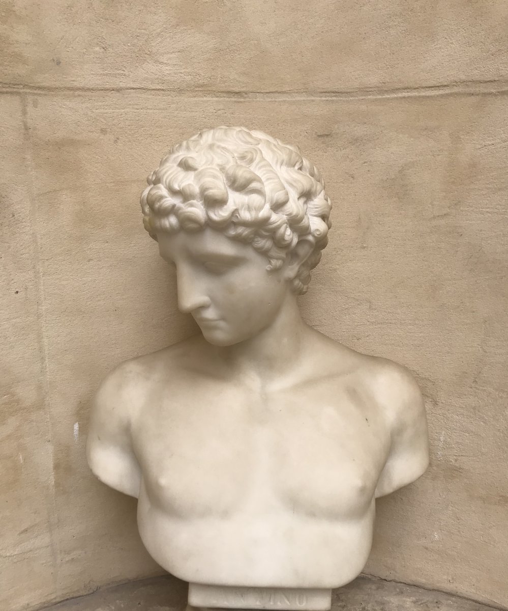 Bust Of Antinous Marble-photo-3